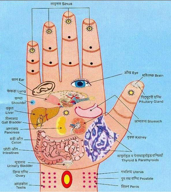 Part of the thumb fantasy)))) opinion Authoritative part of the thumb consider, that